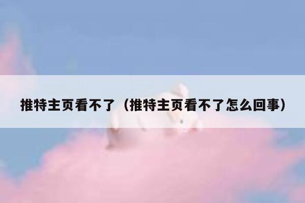 推特主页看不了（推特主页看不了怎么回事） 第1张