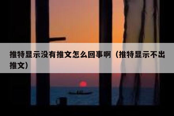 推特显示没有推文怎么回事啊（推特显示不出推文） 第1张