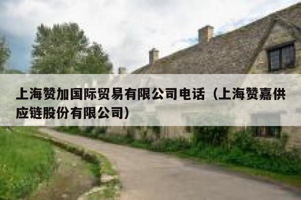 上海赞加国际贸易有限公司电话（上海赞嘉供应链股份有限公司） 第1张