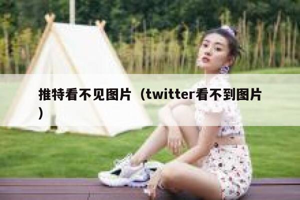 推特看不见图片（twitter看不到图片） 第1张