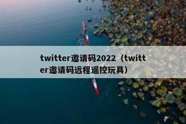 twitter邀请码2022（twitter邀请码远程遥控玩具） 第1张