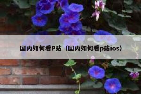 国内如何看P站（国内如何看p站ios） 第1张