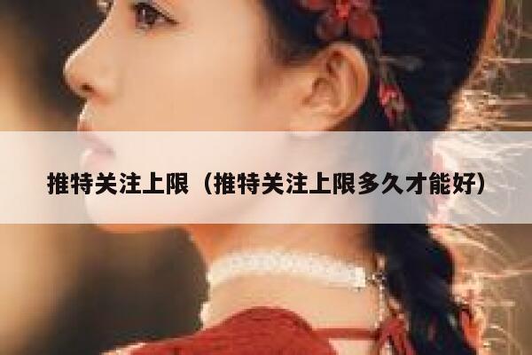 推特关注上限（推特关注上限多久才能好） 第1张