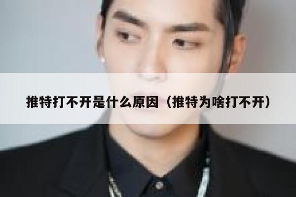 推特打不开是什么原因（推特为啥打不开） 第1张