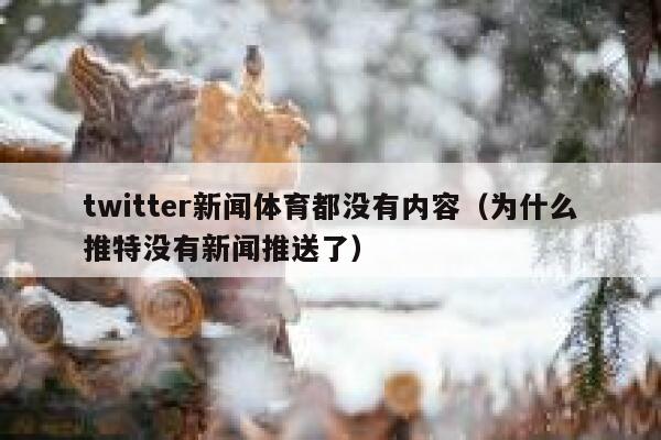 twitter新闻体育都没有内容（为什么推特没有新闻推送了） 第1张