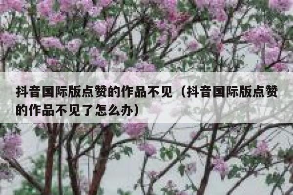 抖音国际版点赞的作品不见（抖音国际版点赞的作品不见了怎么办） 第1张