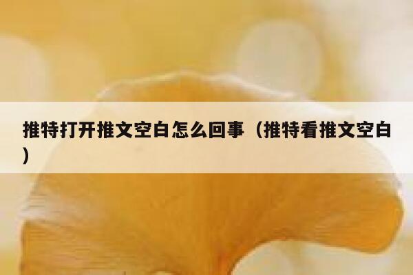 推特打开推文空白怎么回事（推特看推文空白） 第1张