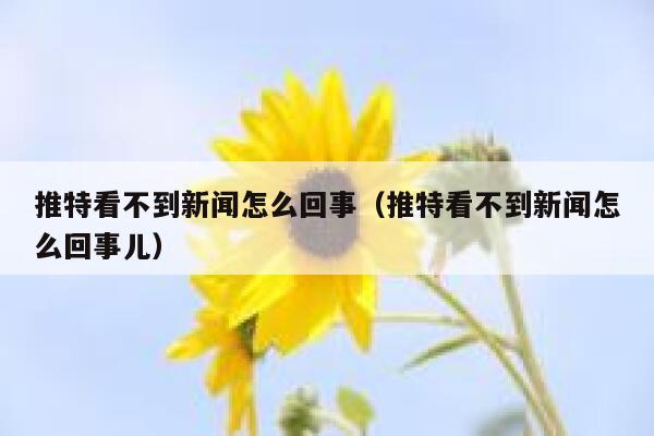 推特看不到新闻怎么回事（推特看不到新闻怎么回事儿） 第1张