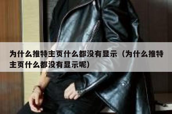为什么推特主页什么都没有显示（为什么推特主页什么都没有显示呢） 第1张