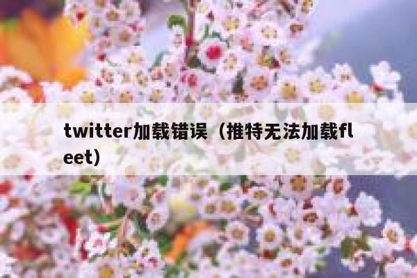 twitter加载错误（推特无法加载fleet） 第1张