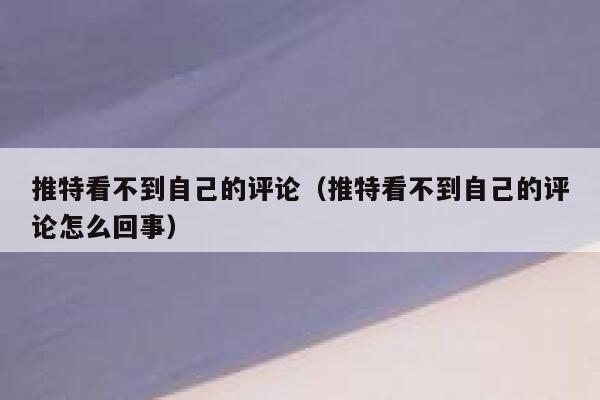 推特看不到自己的评论（推特看不到自己的评论怎么回事） 第1张