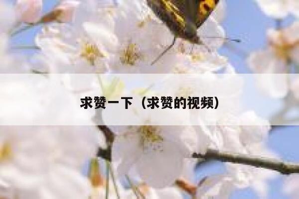 求赞一下（求赞的视频） 第1张