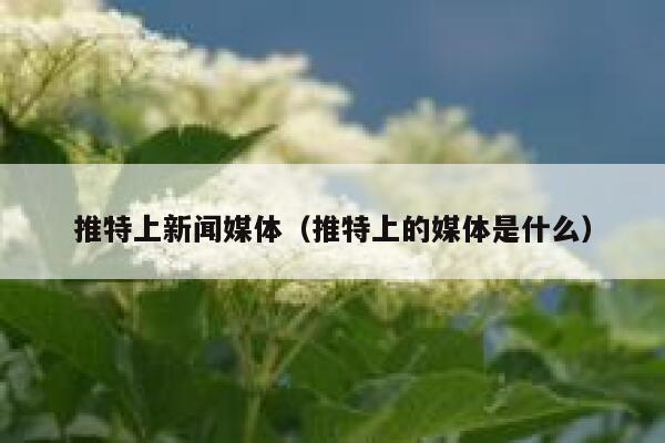 推特上新闻媒体（推特上的媒体是什么） 第1张