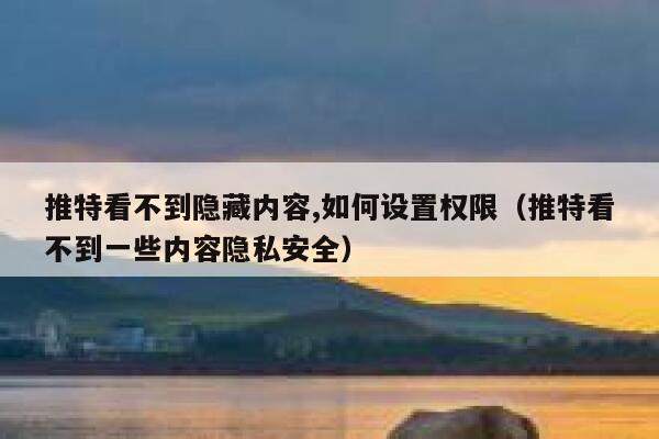 推特看不到隐藏内容,如何设置权限（推特看不到一些内容隐私安全） 第1张