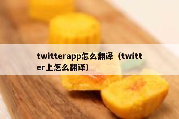 twitterapp怎么翻译（twitter上怎么翻译） 第1张