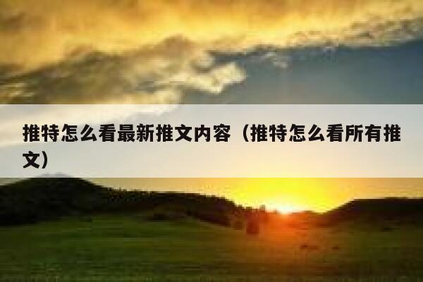 推特怎么看最新推文内容（推特怎么看所有推文） 第1张