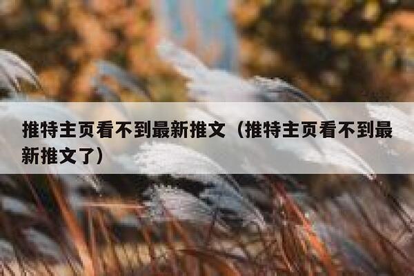 推特主页看不到最新推文（推特主页看不到最新推文了） 第1张