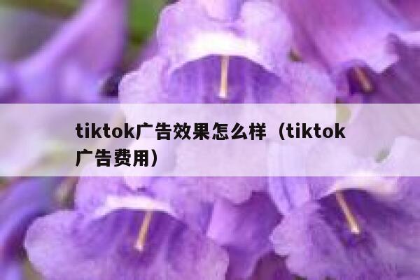 tiktok广告效果怎么样（tiktok广告费用） 第1张