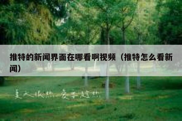 推特的新闻界面在哪看啊视频（推特怎么看新闻） 第1张