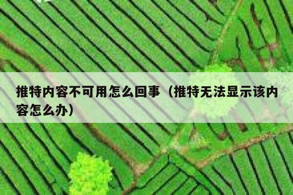 推特内容不可用怎么回事（推特无法显示该内容怎么办） 第1张