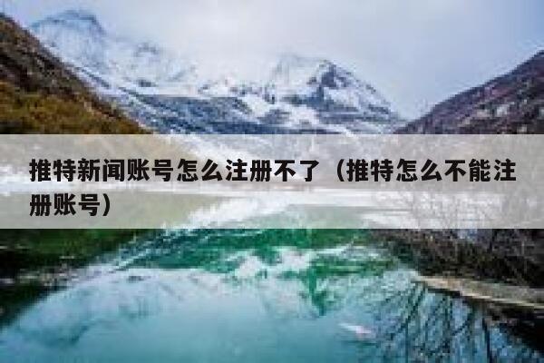 推特新闻账号怎么注册不了（推特怎么不能注册账号） 第1张