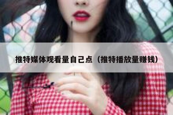 推特媒体观看量自己点（推特播放量赚钱） 第1张