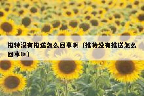 推特没有推送怎么回事啊（推特没有推送怎么回事啊） 第1张