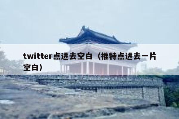 twitter点进去空白（推特点进去一片空白） 第1张