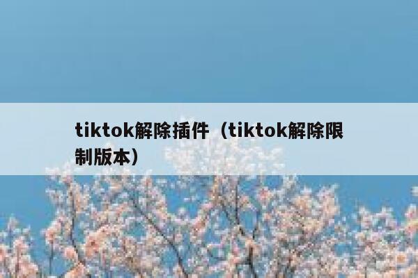 tiktok解除插件（tiktok解除限制版本） 第1张