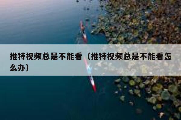 推特视频总是不能看（推特视频总是不能看怎么办） 第1张