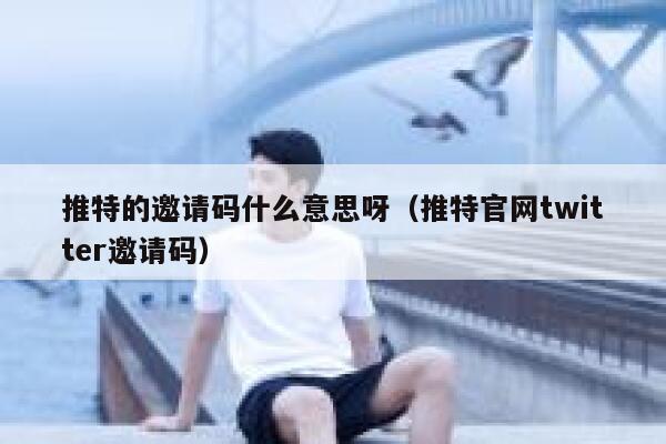 推特的邀请码什么意思呀（推特官网twitter邀请码） 第1张