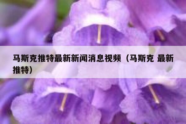 马斯克推特最新新闻消息视频（马斯克 最新推特） 第1张