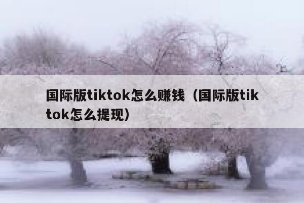 国际版tiktok怎么赚钱（国际版tiktok怎么提现） 第1张