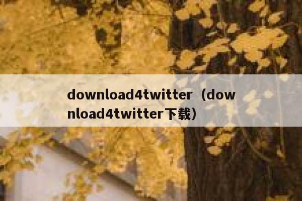 download4twitter（download4twitter下载） 第1张