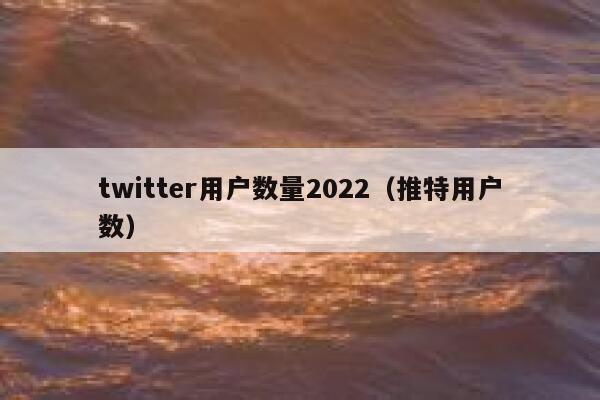twitter用户数量2022（推特用户数） 第1张