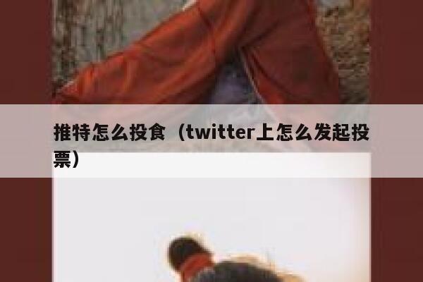 推特怎么投食（twitter上怎么发起投票） 第1张