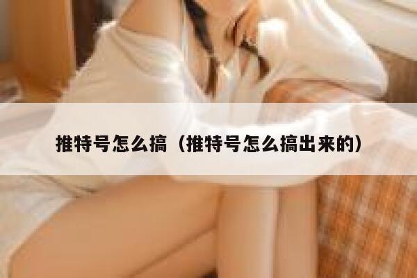 推特号怎么搞（推特号怎么搞出来的） 第1张