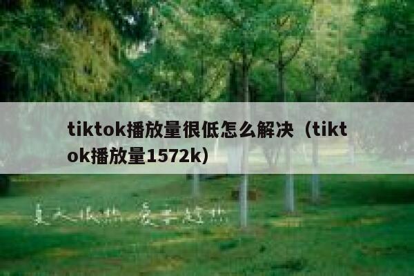 tiktok播放量很低怎么解决（tiktok播放量1572k） 第1张