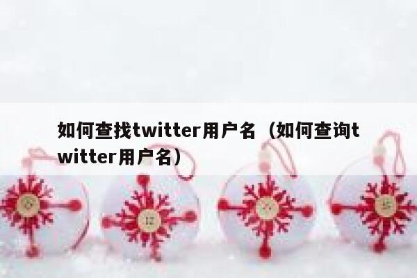 如何查找twitter用户名（如何查询twitter用户名） 第1张