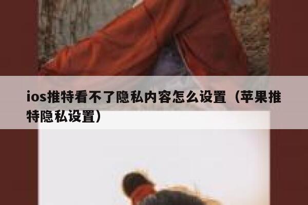 ios推特看不了隐私内容怎么设置（苹果推特隐私设置） 第1张