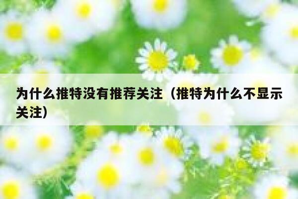 为什么推特没有推荐关注（推特为什么不显示关注） 第1张