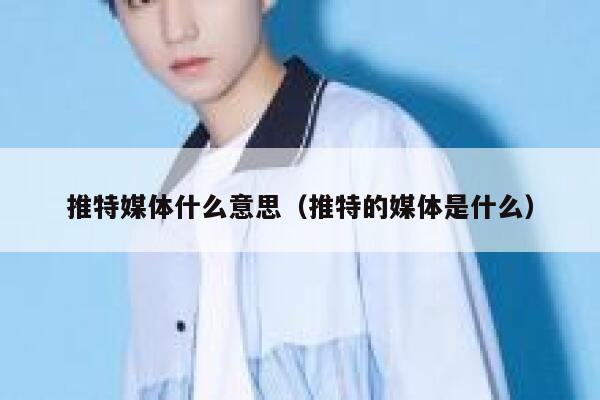 推特媒体什么意思（推特的媒体是什么） 第1张