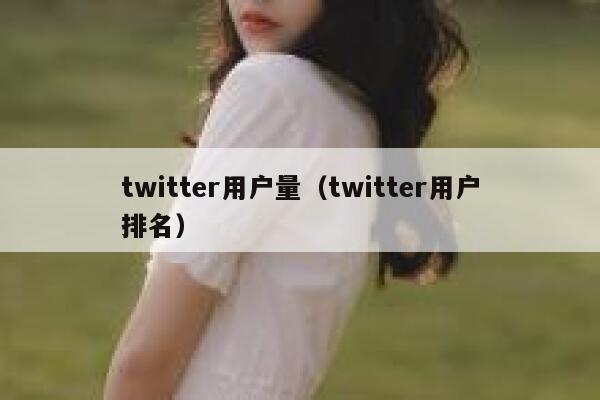 twitter用户量（twitter用户排名） 第1张
