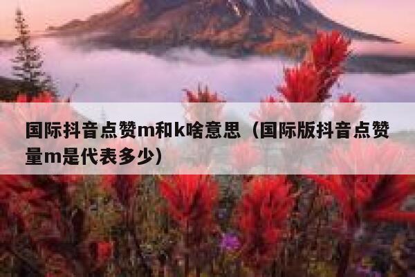 国际抖音点赞m和k啥意思（国际版抖音点赞量m是代表多少） 第1张