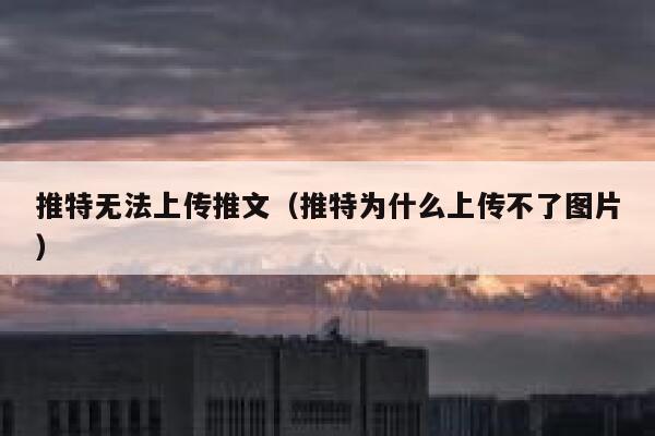推特无法上传推文（推特为什么上传不了图片） 第1张