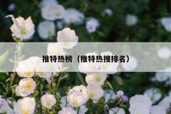 推特热榜（推特热搜排名） 第1张