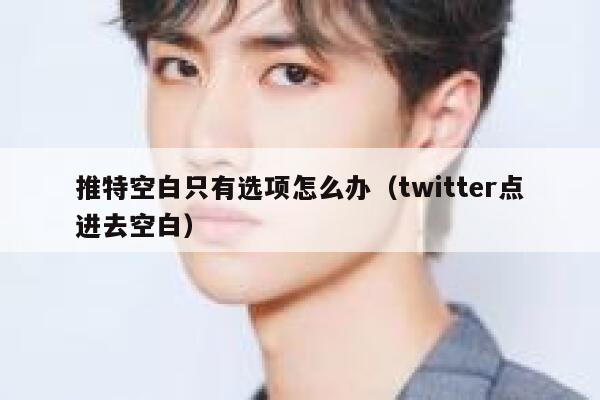 推特空白只有选项怎么办（twitter点进去空白） 第1张
