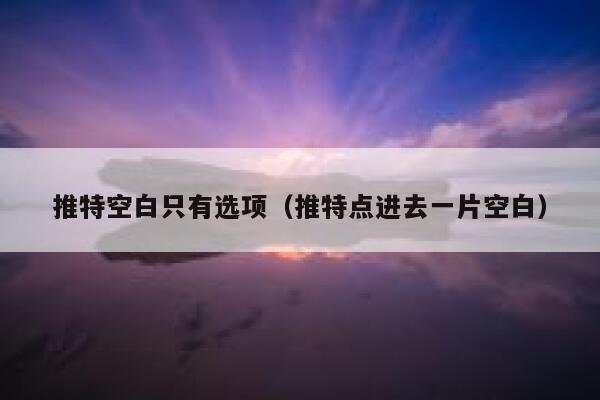 推特空白只有选项(推特点进去一片空白) 第1张 推特空白只有选项(推特点进去一片空白) 第1张