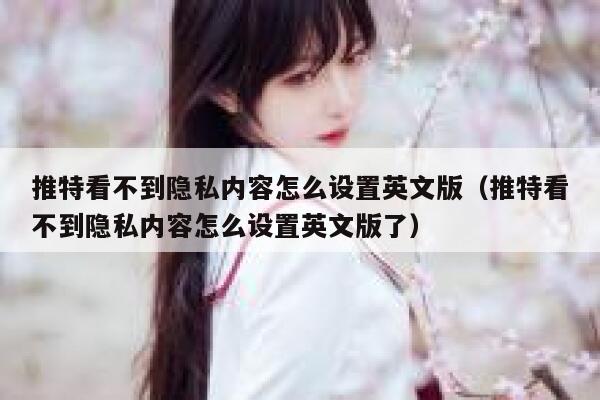 推特看不到隐私内容怎么设置英文版(推特看不到隐私内容怎么设置英文版了) 第1张 推特看不到隐私内容怎么设置英文版(推特看不到隐私内容怎么设置英文版了) 第1张