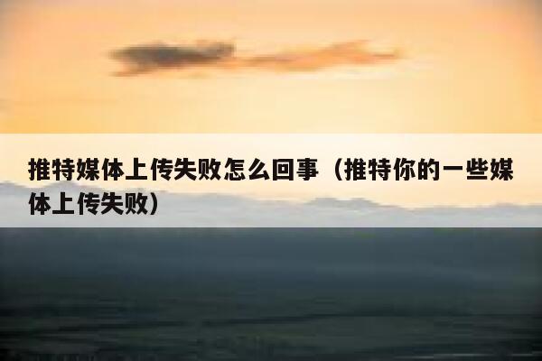 推特媒体上传失败怎么回事(推特你的一些媒体上传失败) 第1张 推特媒体上传失败怎么回事(推特你的一些媒体上传失败) 第1张